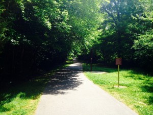 Crabtree Creek Trail in Raleigh NC