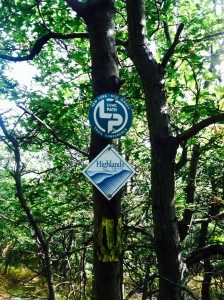 Trail marker at the top.