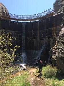 2015-05-30 Custer State Park 5 30 15 003