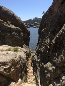 2015-05-30 Custer State Park 5 30 15 009
