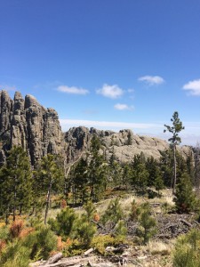 2015-05-30 Custer State Park 5 30 15 021