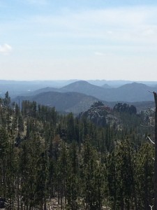 2015-05-30 Custer State Park 5 30 15 026