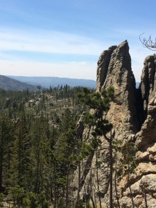 2015-05-30 Custer State Park 5 30 15 034