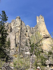 2015-05-30 Custer State Park 5 30 15 041