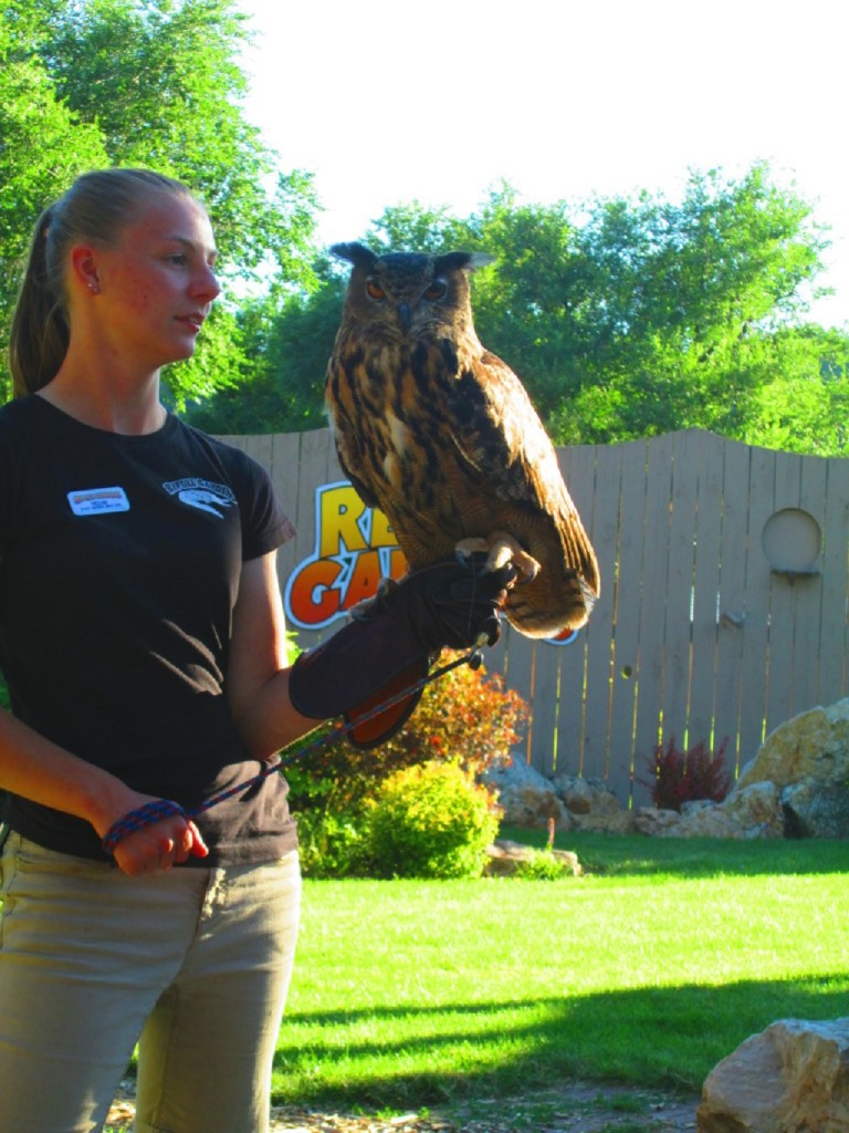 IMG_2851-1024x768[1]