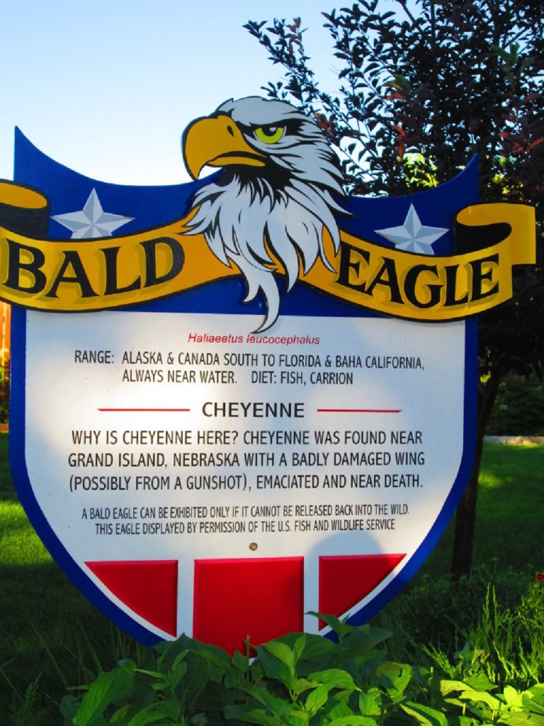 IMG_2867-1024x768[1]