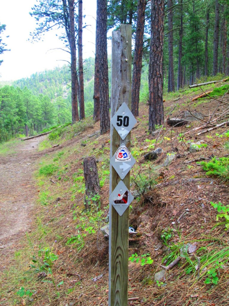 IMG_2894-1024x768[1]