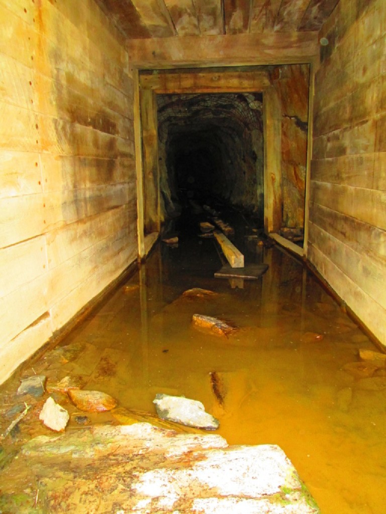 IMG_2918-1024x768[1]