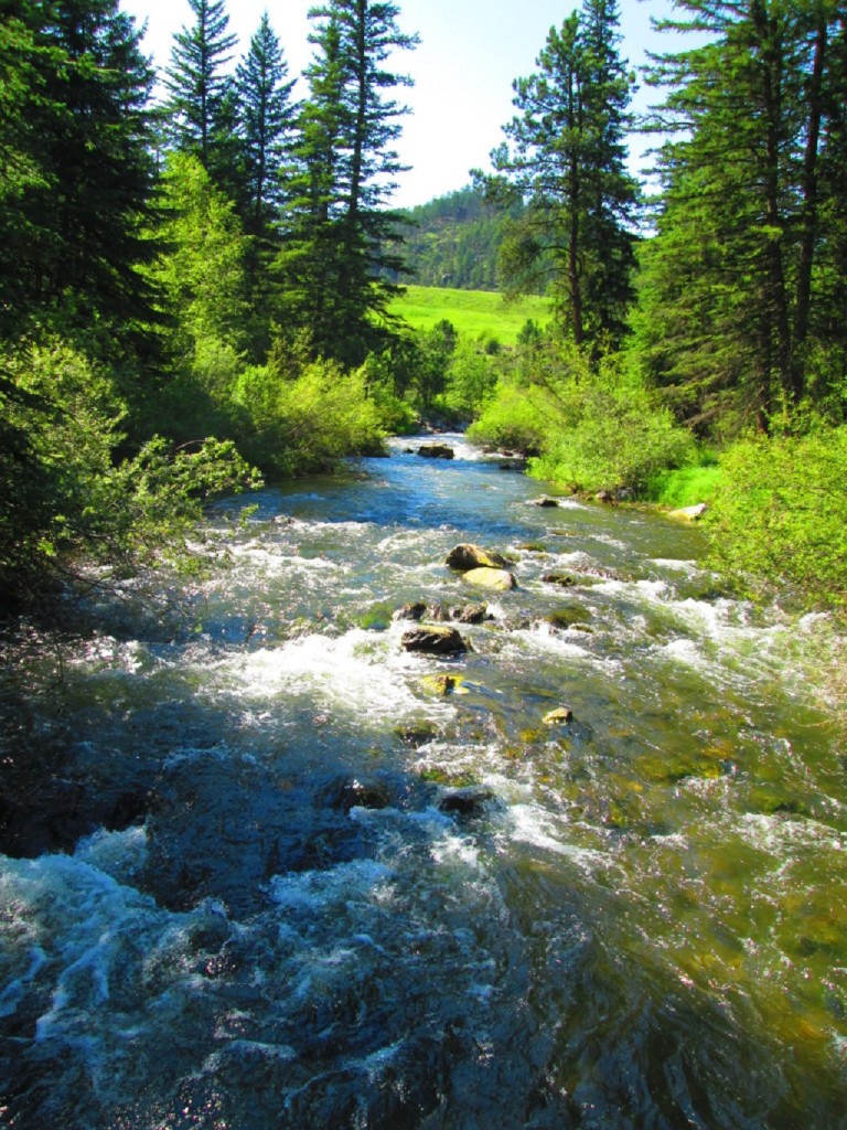 IMG_2930-1024x768[1]