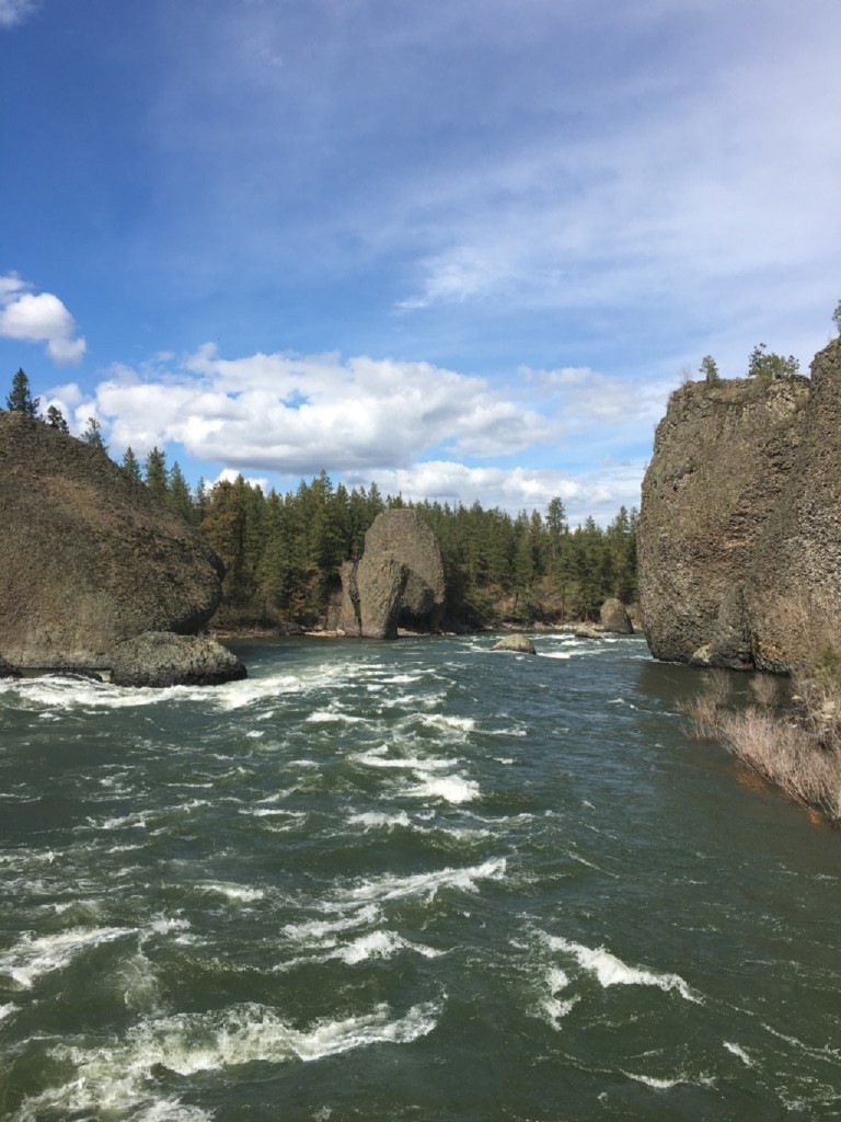 image-15-1024x768[1]